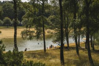 Resort Wilsumer Berge - Wilsum - 1
