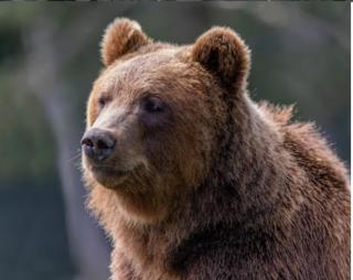 Au chant des oiseaux - 6