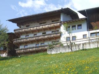 Ferienwohnung Lehenhof - Ried im Zillertal - 8
