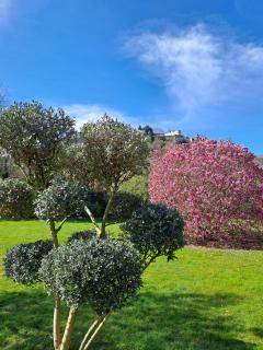Gîte 4 "OLIA" aux Magnolias - Aubenas - 8