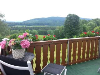 Ferienwohnung-Panoramablick-4 - Bodenmais - 0