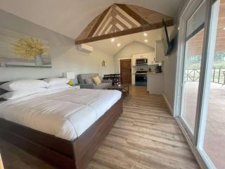Modern wine country barn house - Temecula - 2