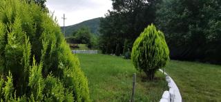 La Cabana - Băile Herculane - 7