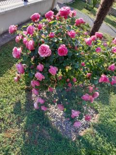 Gîte du capitaine - 3