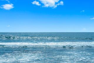 Paradise Found at White Sands Village 105 - 9