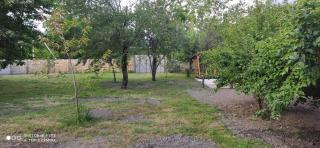 Qabala Villa House Samir - 5