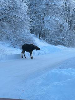Alaskan Adventure Awaits! - 9