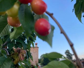 Vila-seca Vall d'Amunt, vine i desconnecta! - Aguilar de Segarra - 6