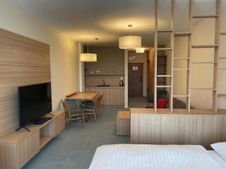 Apartment Pinia - Starý Smokovec - 6