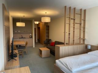 Apartment Pinia - Starý Smokovec - 5