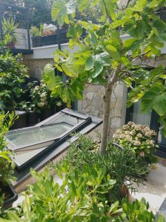 ArtSpace Location-Opatija-3 bedroom House with Rooftop Garden by Beach - Opatija - 5