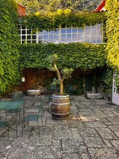 Casa dos Barros Winery Lodge by Vintage Theory - Sabrosa - 6