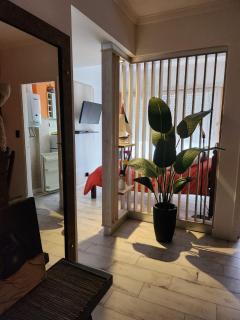 Departamento Centro Mar del Plata - Mar del Plata - 6