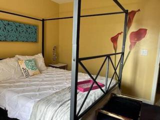 A Bliss of Color Townhouse - Jackson - 8