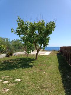 Apartment Batolios - Agios Georgios - 7