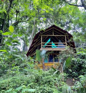 Río Muchacho Organic Farm - Bahía de Caráquez - 1
