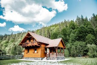 Central Chalet - Vărşag - 8