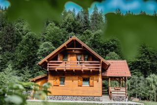 Central Chalet - Vărşag - 0