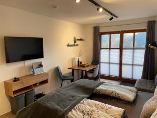 Apartment Wildbert mit Blick auf die Donau, nur Feriengäste willkommen, keine Arbeiterunterkunft! - 7