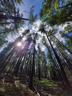 Large cozy studio in Castellane /Gorges du Verdon - 6