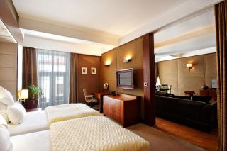 Grand Hotel Boutique - Rzeszów - 7
