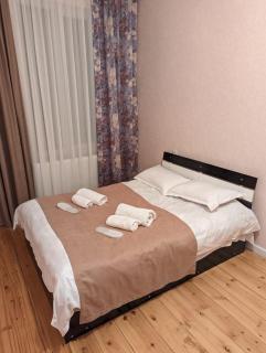 Holiday House Likani - Borjomi - 6