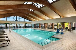 Holiday Inn Washington-Dulles International Airport by IHG - Sterling - 6