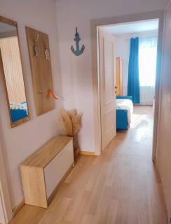 Apartments Novigrad - Novigrad - 4