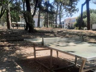 Studio 4 pers / terrasse / espace aquatique - Talmont - 1