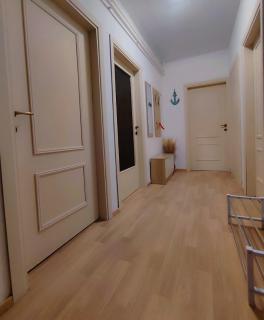 Apartments Novigrad - Novigrad - 5