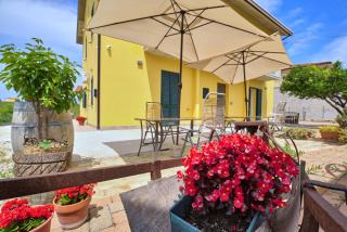 la Casa del Vino - B&B - Tollo - 0