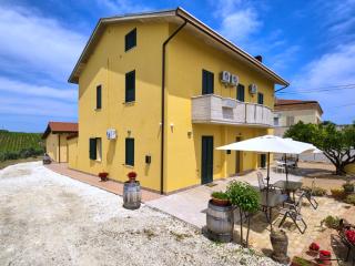 la Casa del Vino - B&B - Tollo - 3