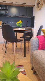 Vila Jahor Apartmani JET SET Lux - 3