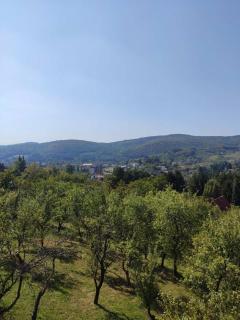 Kuca idealna za odmor i uzivanje u Vrdniku broj 4 - Vrdnik - 1