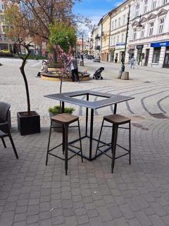 Apartament Franciszkanska 21 - Przemyśl - 2