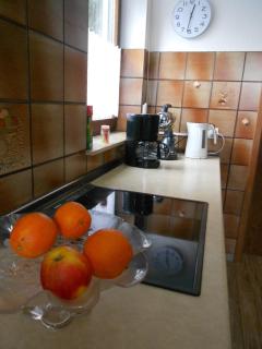 Tannhäuser Ferienwohnung - Bad Dürrheim - 4
