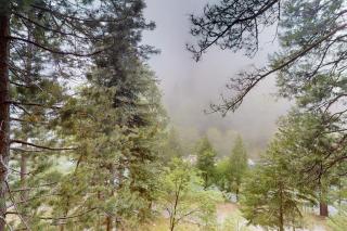 Rocky Pines - Twin Peaks - 2