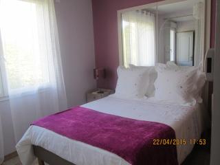 Chambre d'Hôtes du Bois Joli - Mesnard-la-Barotière - 5