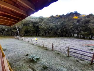Chalé Refúgio das Araucárias - Gonçalves - 4