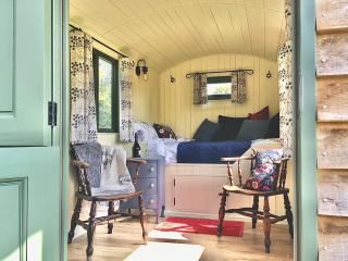Foxgloves and Fairytales Hut with Hot Tub - Llanwrda - 7
