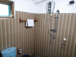 Sigiri Neo Homestay - 2