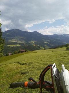 Schwemm Moos - Westendorf - 3