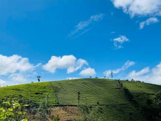 TENT LIFE - Vagamon - 9