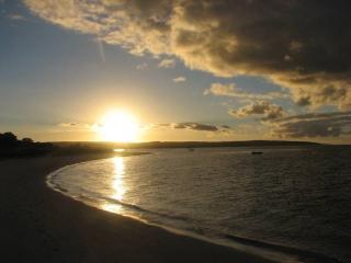 Duke Cottage - pet friendly near beach. - Busselton - 1
