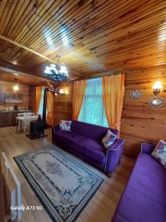 AYDER Nazlı çiçek apart - Ayder Yaylasi - 2