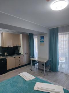 C&M STUDIO by Zora Residence - Mamaia Sat/Năvodari - 1