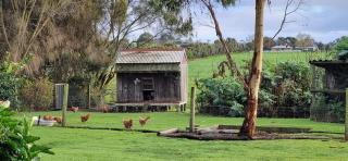 Colac Otway Caravan & Cabin Park - Colac - 2