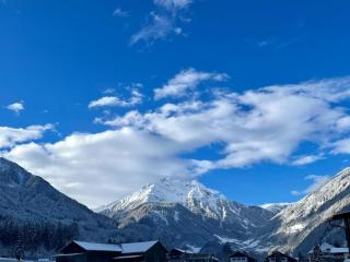 Ferienwohnung Rita Kröll - Mayrhofen - 5