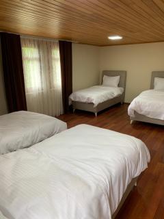 esa house - 4