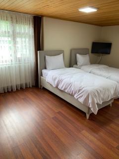 esa house - 2